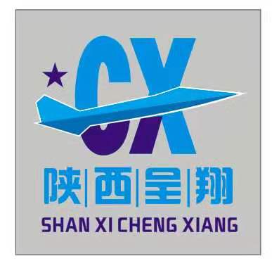 陜西螞蟻呈翔網絡科技有限公司