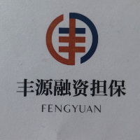 豐源融資擔保有限公司