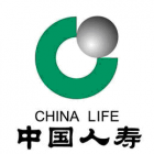 中國人壽保險股份有限公司嵐皋支公司